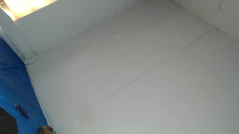 cassie online show from February 2025 08:39:01 AM