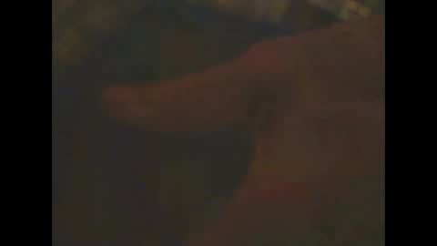 Snapshot of castells chatting on February 2025 06:56:02 PM castells online show from February 2025 06:56:02 PM