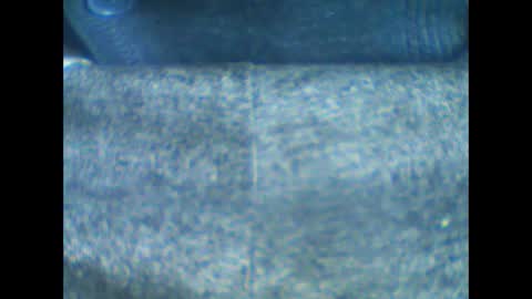 castells online show from January 2026 10:52:01 AM