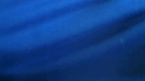 castells online show from July 2026 04:13:01 PM