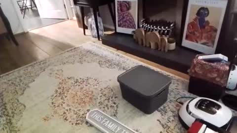 Snapshot of casuallyunhinged36 chatting on February 2026 08:46:02 PM Bakewell Trixie online show from February 2026 08:46:02 PM