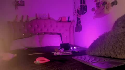 cata__mw online show from June 2026 07:19:02 PM