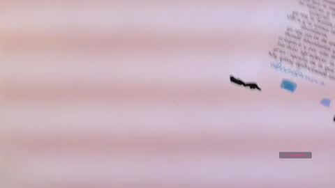 Cataleya online show from December 2025 11:04:02 AM