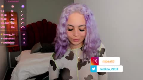 Catalina online show from January 2025 03:39:01 PM