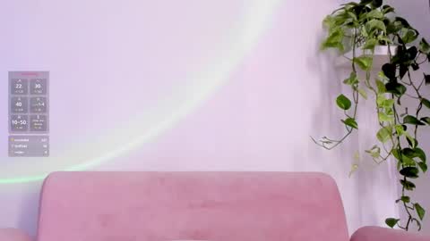      online show from November 2025 01:55:01 PM