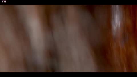 catolinanight online show from March 2026 08:19:01 AM