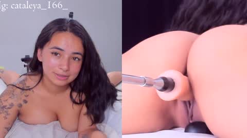 Snapshot of cattleya_annie chatting on December 2024 12:43:02 AM Cattleya Annie online show from December 2024 12:43:02 AM