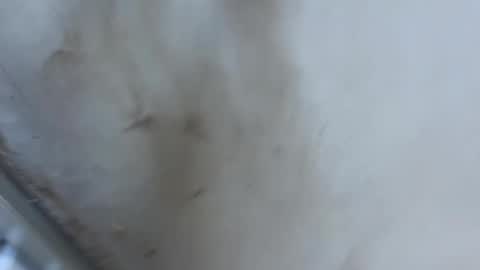 ccwwa01 online show from May 2026 06:52:01 AM
