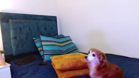 Snapshot of cedrixx10 chatting on October 2025 01:02:02 AM Cedrixx10 online show from October 2025 01:02:02 AM