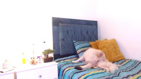 Snapshot of cedrixx10 chatting on December 2025 09:31:02 PM Cedrixx10 online show from December 2025 09:31:02 PM