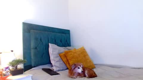 Cedrixx10 online show from February 2026 10:00:01 PM