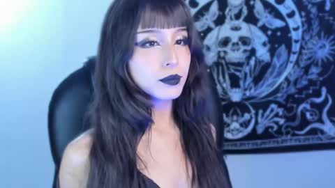   online show from February 2025 06:42:02 AM