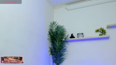 Celeste  online show from February 2025 03:18:02 PM