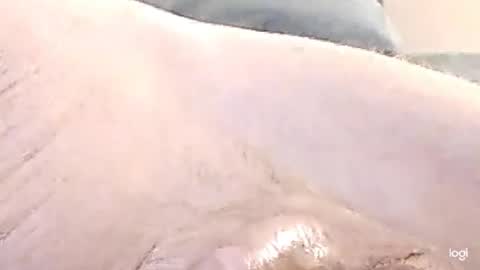 Snapshot of cfnmkinky28 chatting on December 2024 09:07:01 AM cfnmkinky28 online show from December 2024 09:07:01 AM