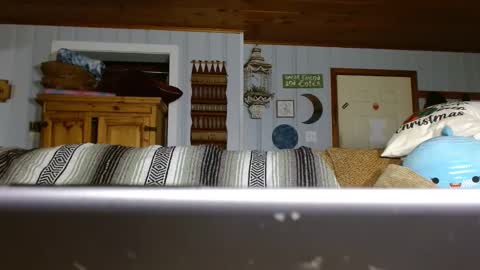 Snapshot of cguffey2284 chatting on December 2024 07:00:02 PM cguffey2284 online show from December 2024 07:00:02 PM