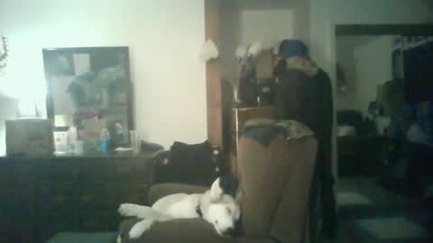 Snapshot of chad_the_blatalian chatting on October 2025 05:42:02 AM GigaChad online show from October 2025 05:42:02 AM