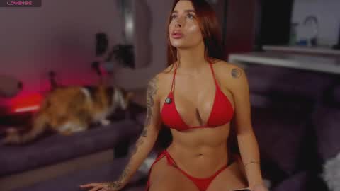  x online show from June 2026 01:55:01 AM