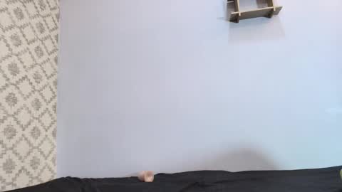 Raquel  online show from March 2025 03:09:02 PM