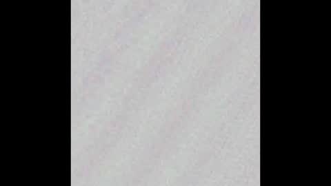 Charlotte online show from November 2025 07:29:02 PM