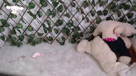 charly_evans60 online show from February 2025 09:52:02 PM