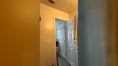 Chase2Attract online show from March 2026 06:03:01 PM