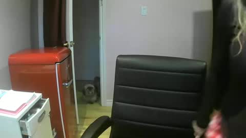 Snapshot of chealsiek chatting on October 2025 01:10:01 PM chealsiek online show from October 2025 01:10:01 PM