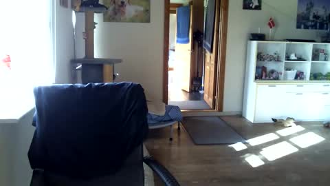 chefben666 online show from October 2025 10:27:02 AM