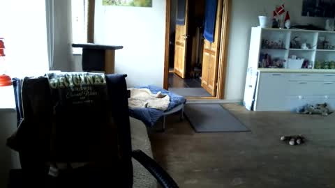 chefben666 online show from April 2026 11:17:01 AM