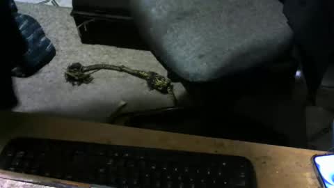 chefy online show from November 2025 10:14:02 AM