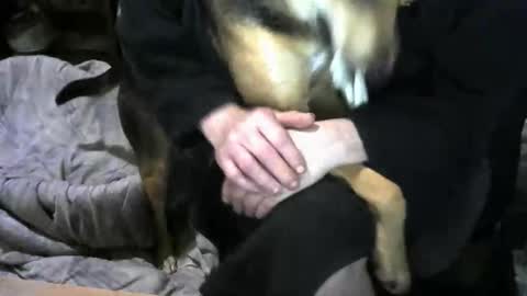 chefy online show from February 2026 09:38:01 AM