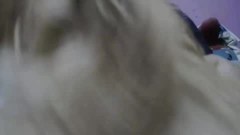 Snapshot of cheliafun chatting on November 2025 02:23:01 PM Cheila online show from November 2025 02:23:01 PM