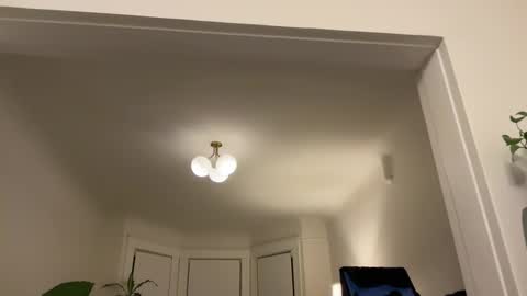 chellybear101 online show from January 2025 04:06:01 AM