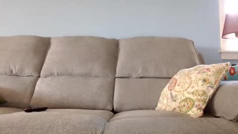 Chelsea online show from October 2025 02:14:02 PM