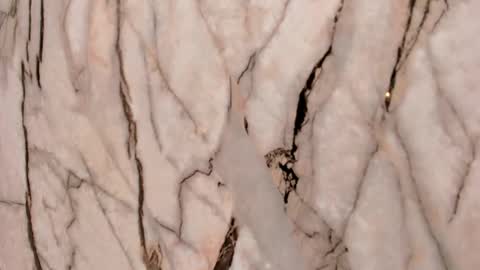 Snapshot of cherry__sweet_ chatting on November 2025 11:31:02 AM Emma online show from November 2025 11:31:02 AM