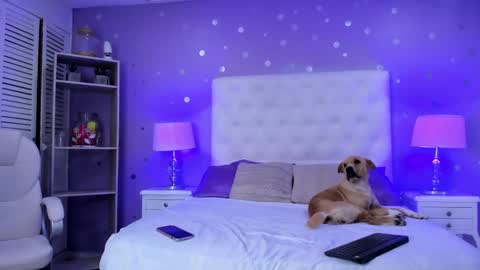 Snapshot of cherry_sussan chatting on February 2025 04:24:02 AM Sussan Cherry online show from February 2025 04:24:02 AM