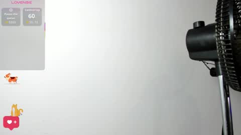 Samy Perez online show from February 2026 07:23:02 PM