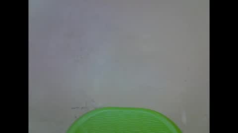 Snapshot of cherryxpussy chatting on October 2025 12:02:02 PM cherryxpussy online show from October 2025 12:02:02 PM