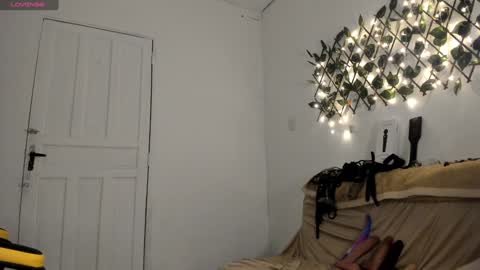 sammy coll online show from December 2024 12:45:02 AM