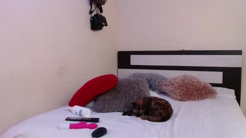  Valentina  online show from January 2025 01:52:02 AM