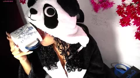 chleo_rosse online show from April 2026 03:42:01 AM