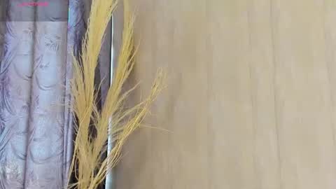 C H L O E  online show from January 2026 12:54:02 PM