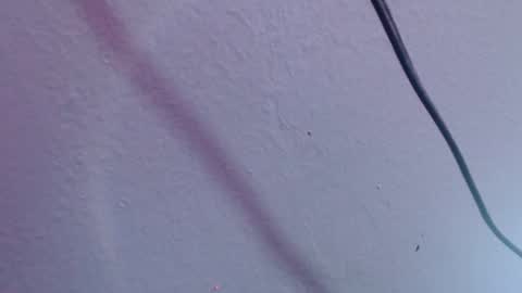 Snapshot of chloe_prg chatting on December 2024 07:07:01 PM chloe_prg online show from December 2024 07:07:01 PM