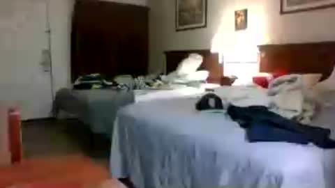 choclate_choctaw online show from July 2026 01:58:33 AM