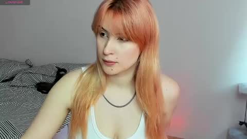 choco_meowx online show from May 2026 09:16:02 AM