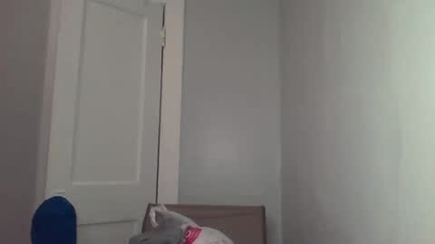 Snapshot of chocolatedolla chatting on March 2025 02:27:02 AM chocolatedolla online show from March 2025 02:27:02 AM