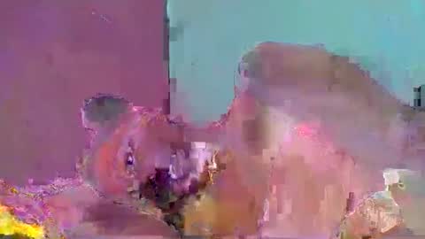 Snapshot of chololatblonde chatting on February 2026 10:38:01 AM chololatblonde online show from February 2026 10:38:01 AM