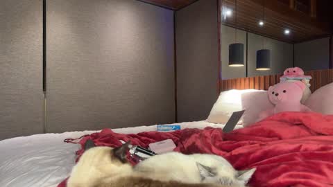 Snapshot of christinasage chatting on September 2025 04:03:01 AM Christina Sage online show from September 2025 04:03:01 AM