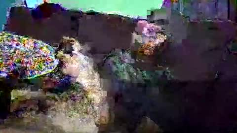 Snapshot of christopher1087 chatting on March 2026 07:58:01 AM christopher1087 online show from March 2026 07:58:01 AM