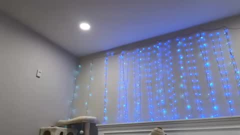 Snapshot of christy_love chatting on December 2024 01:24:01 AM Christy Love online show from December 2024 01:24:01 AM