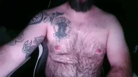 chub bear 99 online show from April 2026 01:53:01 AM